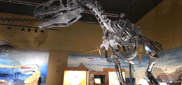 Unearth the prehistoric past at the Wyoming Dinosaur Center in Thermopolis