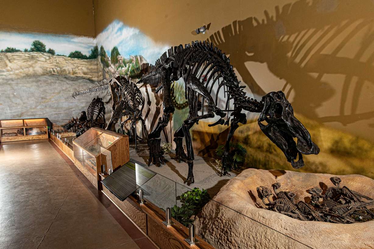 Unearth our prehistoric past at the Wyoming Dinosaur Center in Thermopolis