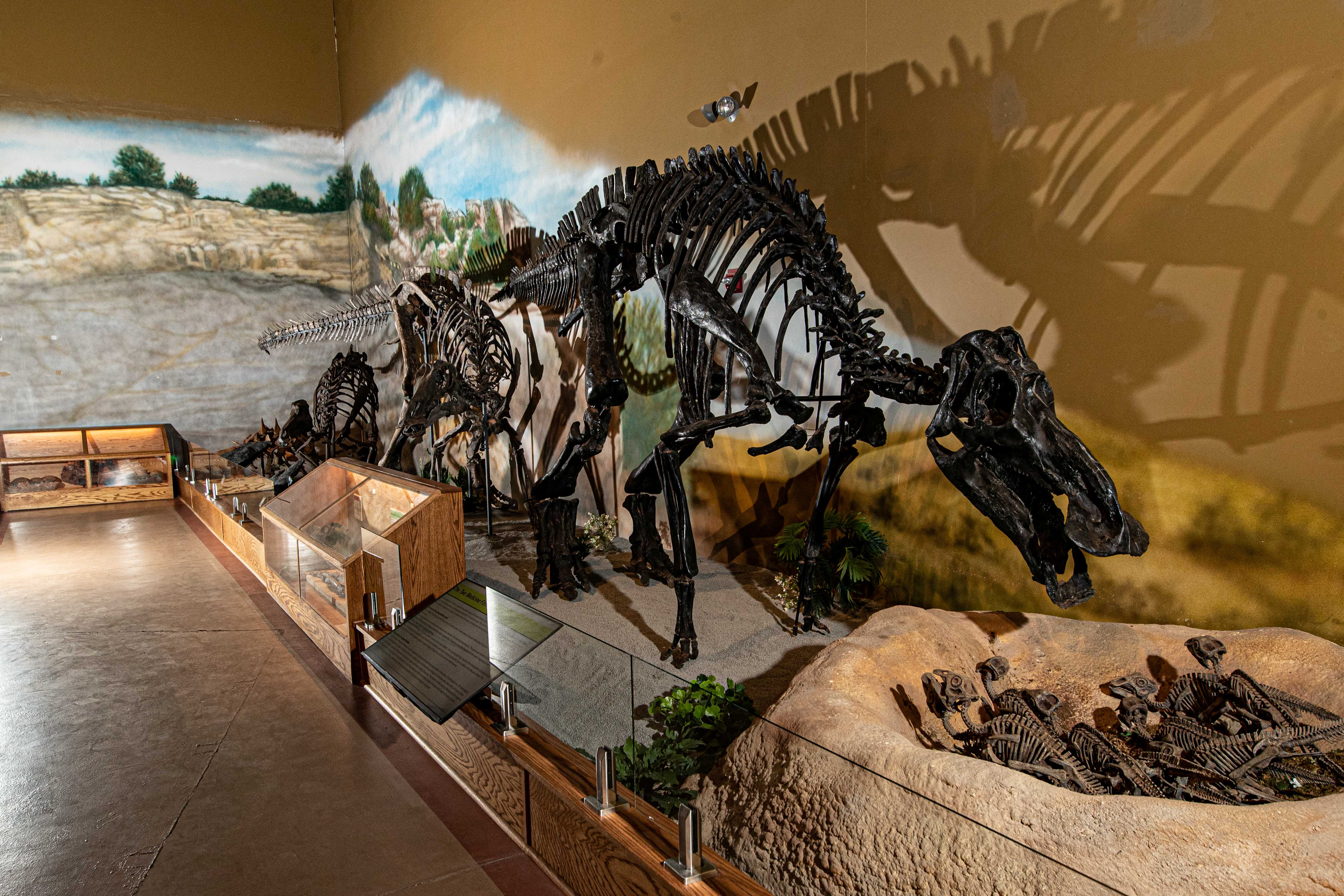 Unearth our prehistoric past at the Wyoming Dinosaur Center in Thermopolis