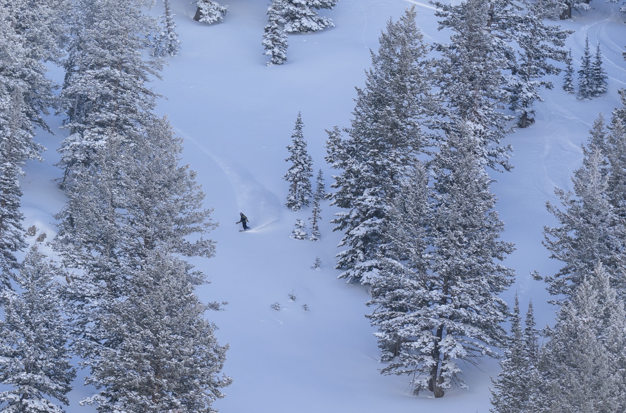 Powder Mountain expects to expand public terrain options next season
