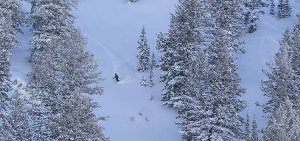 Powder Mountain expects to expand public terrain options next season