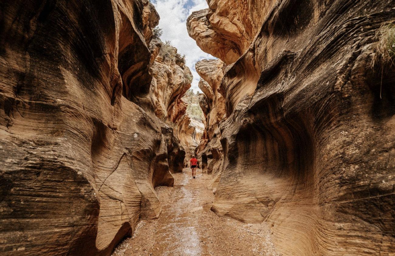 Bryce Canyon's best-kept secret? 4 epic backcountry adventures beyond the crowds 