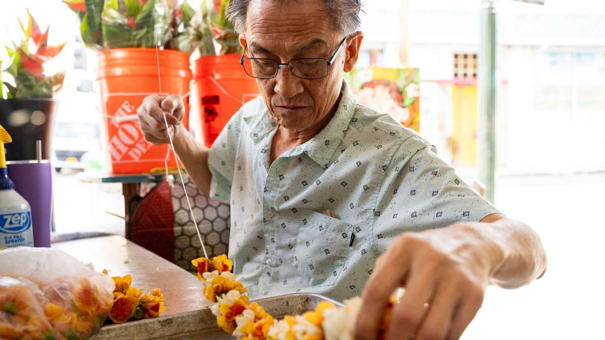 Sam Say, owner of M.P. Lei Shop, strings flowers to make a lei at his shop in Chinatown, Feb. 26, 2026, in Honolulu. The custom of giving and wearing lei made of flowers, leaves, seeds or shells has always been associated with Hawaiian people, for whom the garlands represent love or the spirit of "aloha."