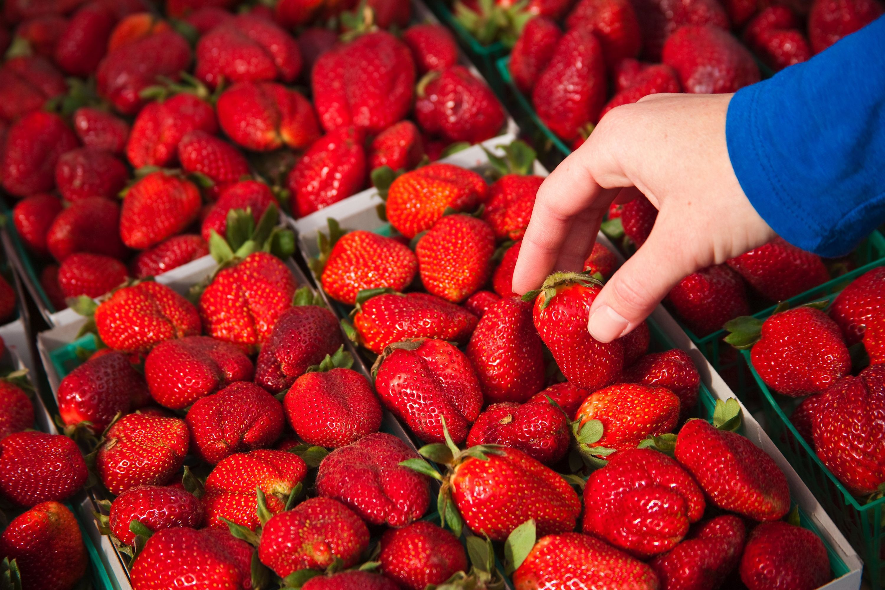 Top Environment story anchor