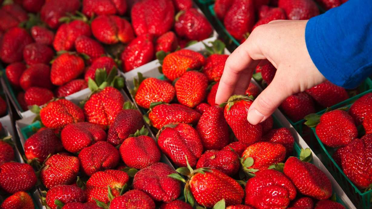 Sample of strawberries contained 10 different "forever" pesticides, the study found.
