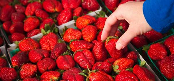 Top Environment story anchor