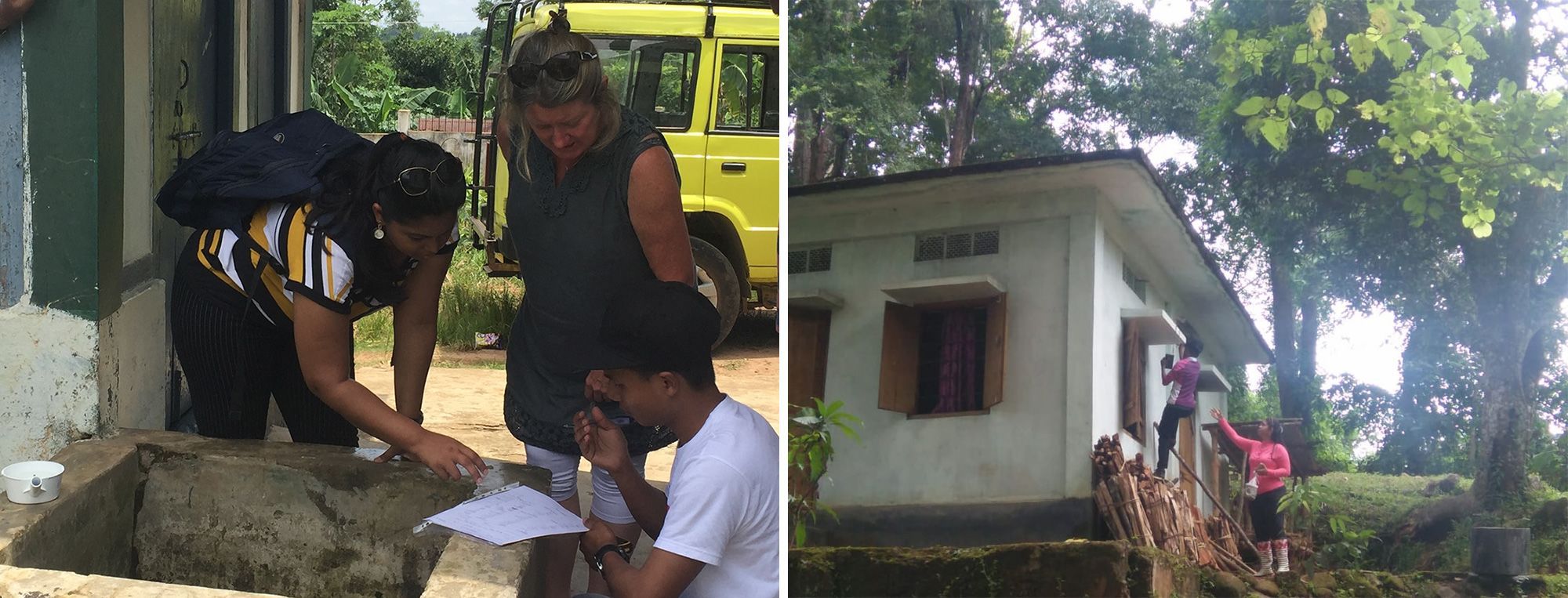 DNA from a tiny but mighty insect could help reveal the timeline for prehistoric humans