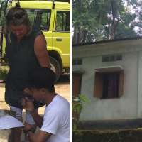 DNA from a tiny but mighty insect could help reveal the timeline for prehistoric humans