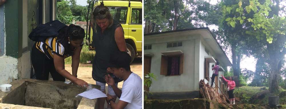 DNA from a tiny but mighty insect could help reveal the timeline for prehistoric humans