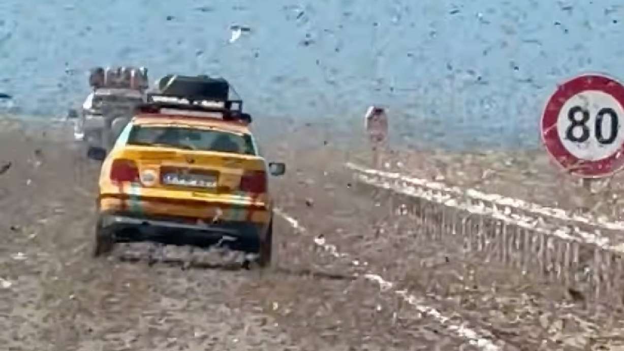 Participants in the Budapest-Bamako auto rally traversed a "crunchy, winged obstacle course" in the Western Sahara on Feb. 24, thanks to swarms of desert locusts.