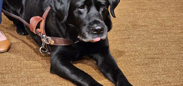 Top Business & Tech story anchor