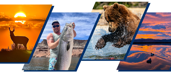 Outdoor photo submissions