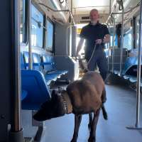 Utah State University police acquire second explosives-detecting K-9