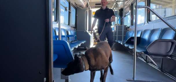 Utah State University police acquire second explosives-detecting K-9
