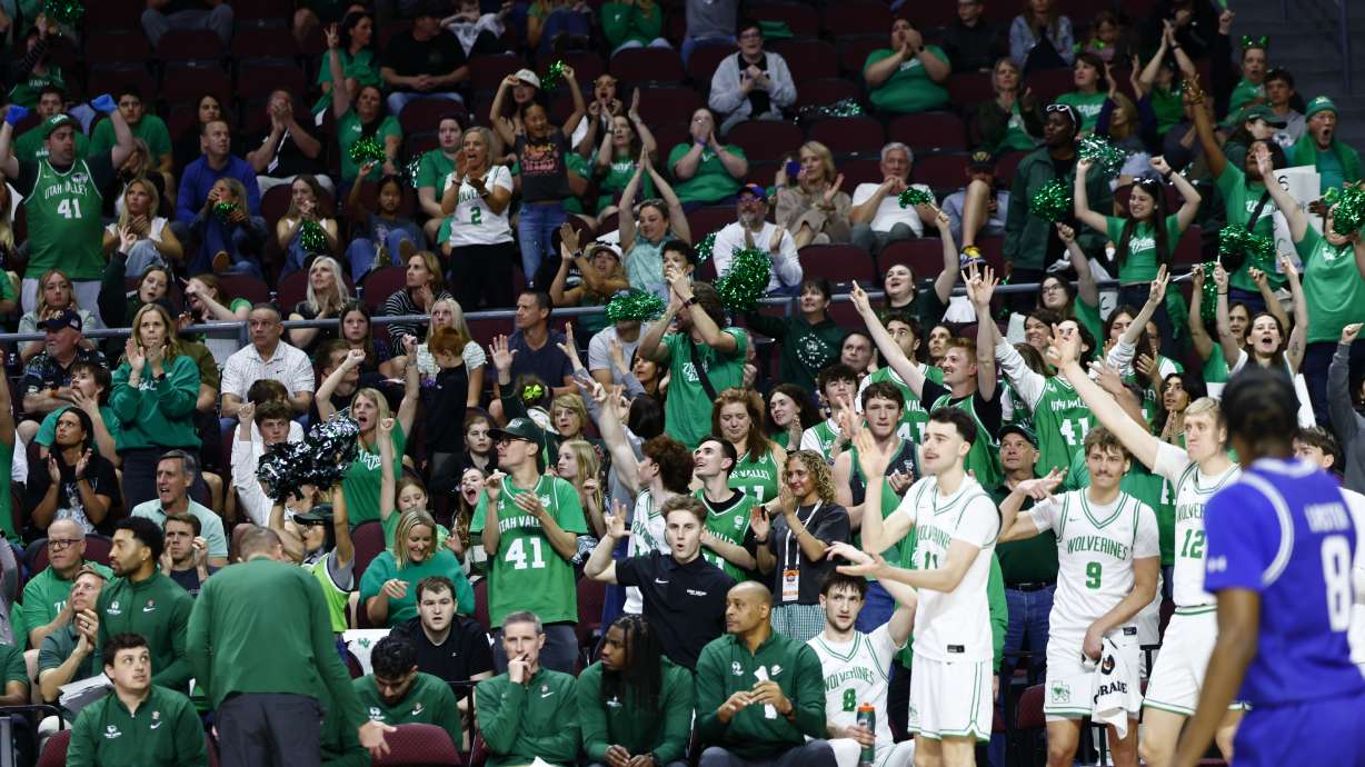 Utah Valley fans celebrate as part of team's semifinal performance in Las Vegas.