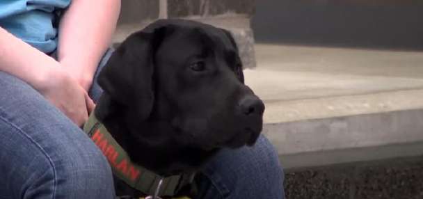 Payson students train future service dogs