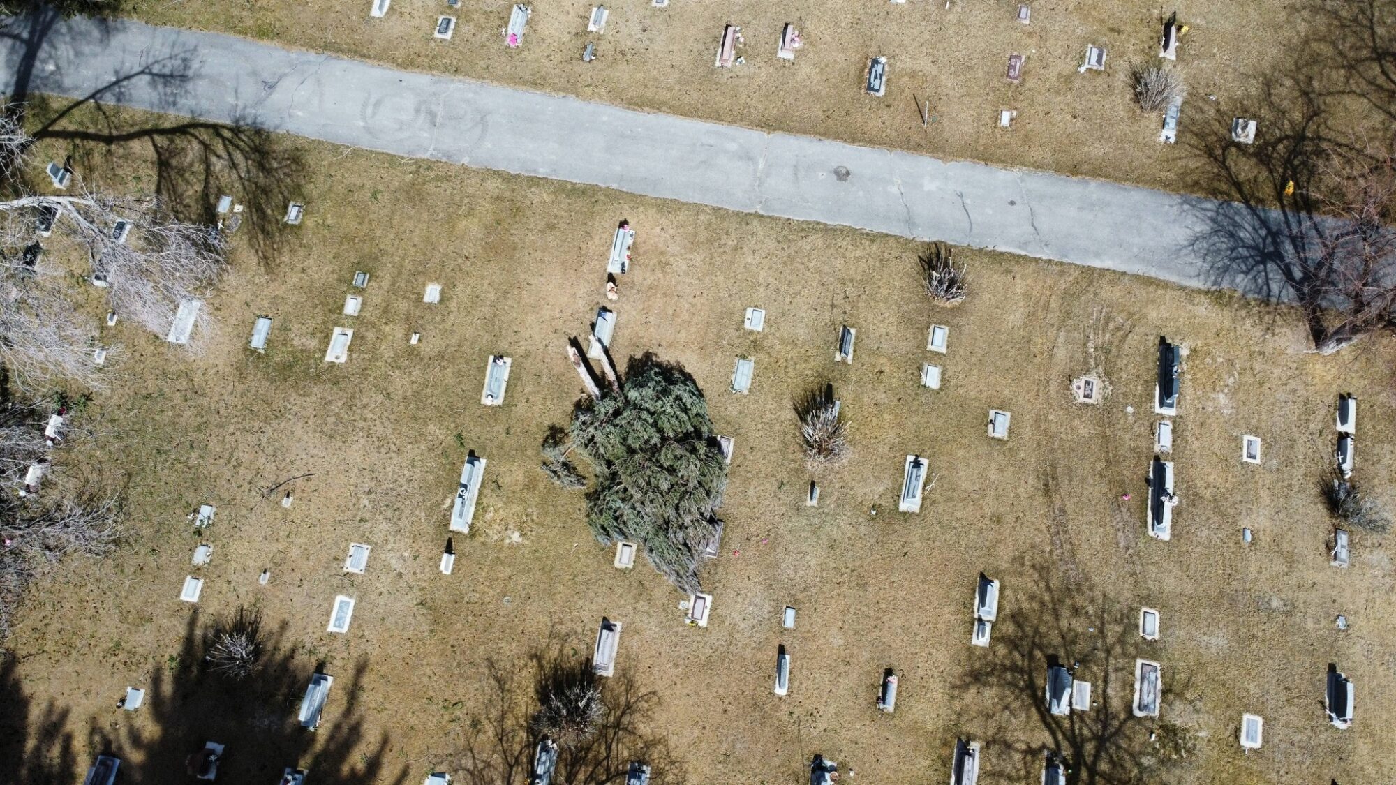 An aerial shot shows a tree fallen over at Ferron Cemetery after powerful winds knocked down several at the site on Saturday.