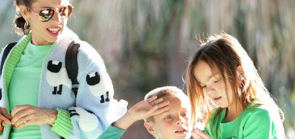 Top Features story anchor