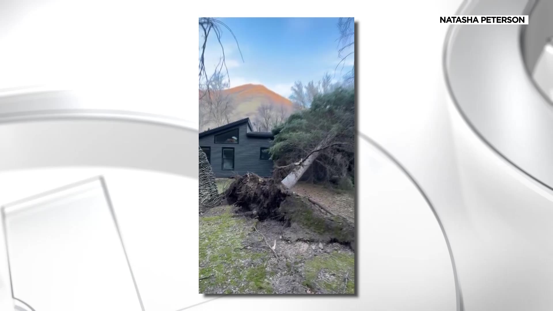 A photo shows a tree collapsed on top of a home in Springville.