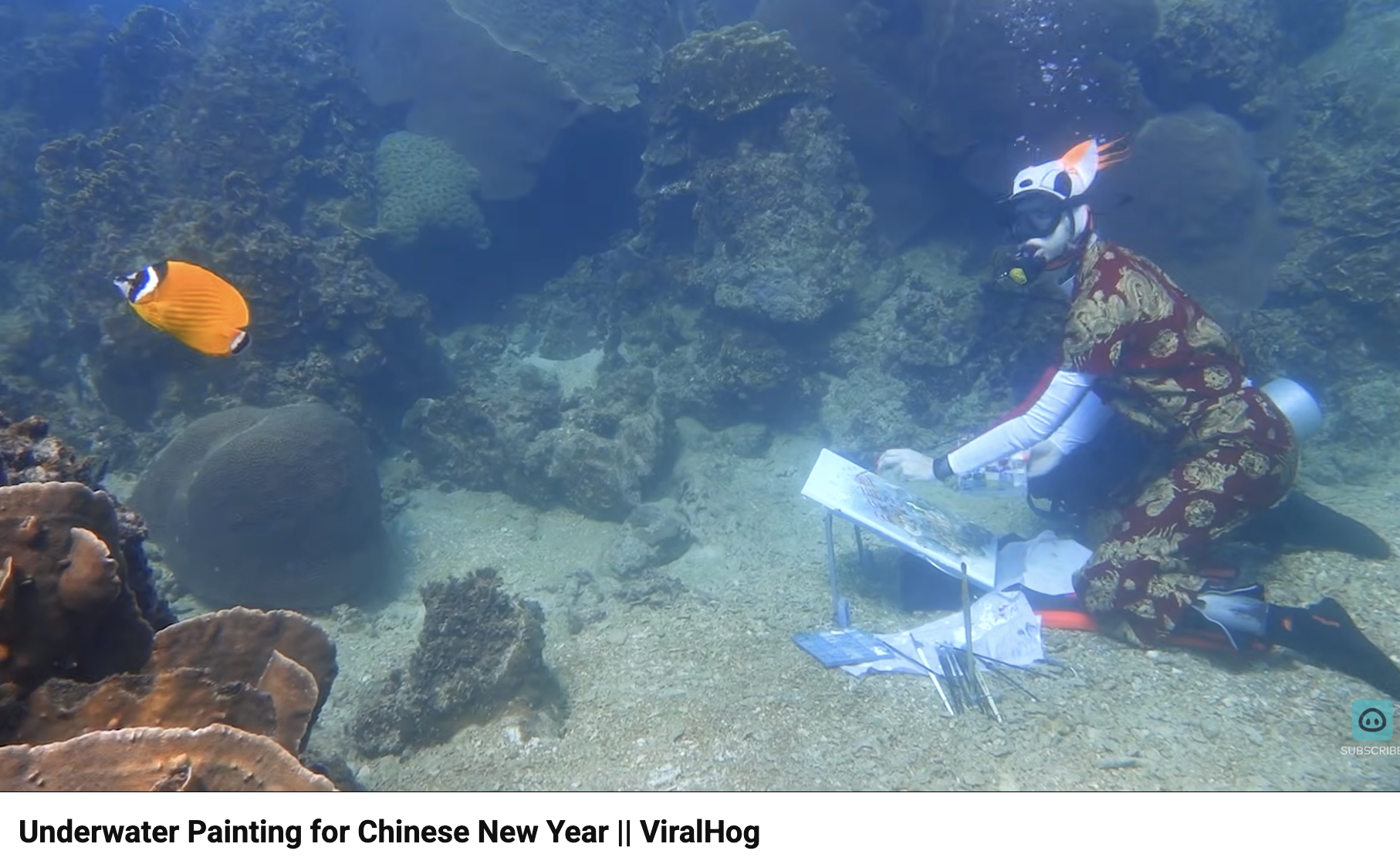 Have You Seen This? Underwater artist at work on a coral reef