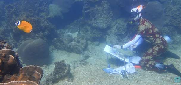Have You Seen This? Underwater artist at work on a coral reef