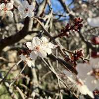 Many records could be broken as early summer-like temperatures settle over Utah