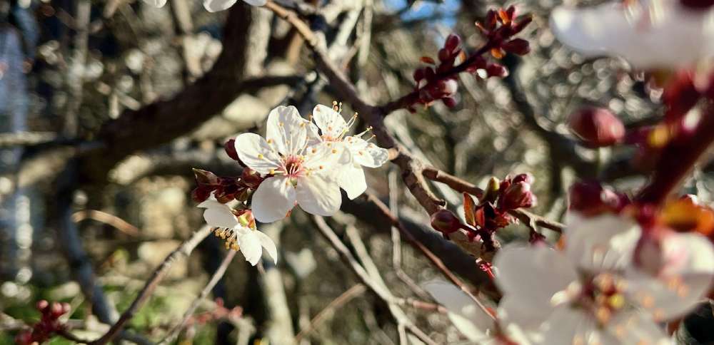 Many records could be broken as early summer-like temperatures settle over Utah