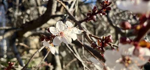 Top Features story anchor