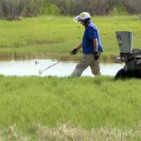 Mosquito season kicks off early in Salt Lake City