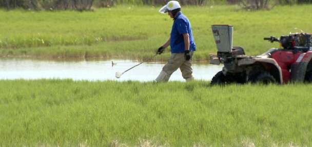 Mosquito season kicks off early in Salt Lake City