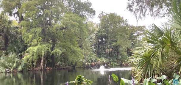 Have You Seen This? Just a bunch of monkeys belly-flopping into the river