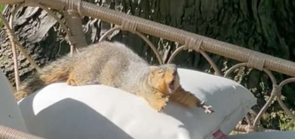 Top Features story anchor