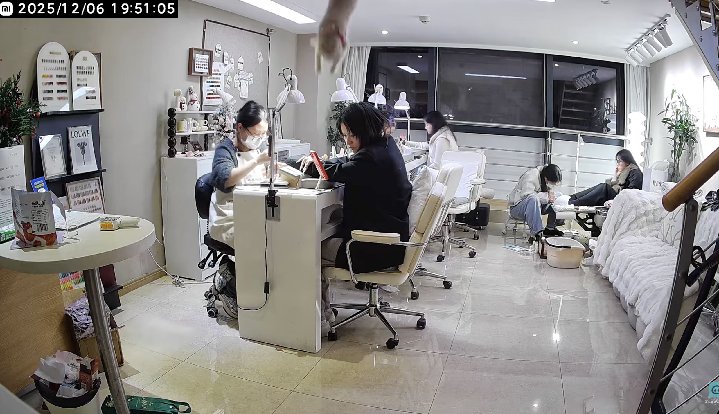 Have You Seen This? Ninja cat executes perfect aerial attack