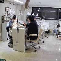 Have You Seen This? Ninja cat executes perfect aerial attack