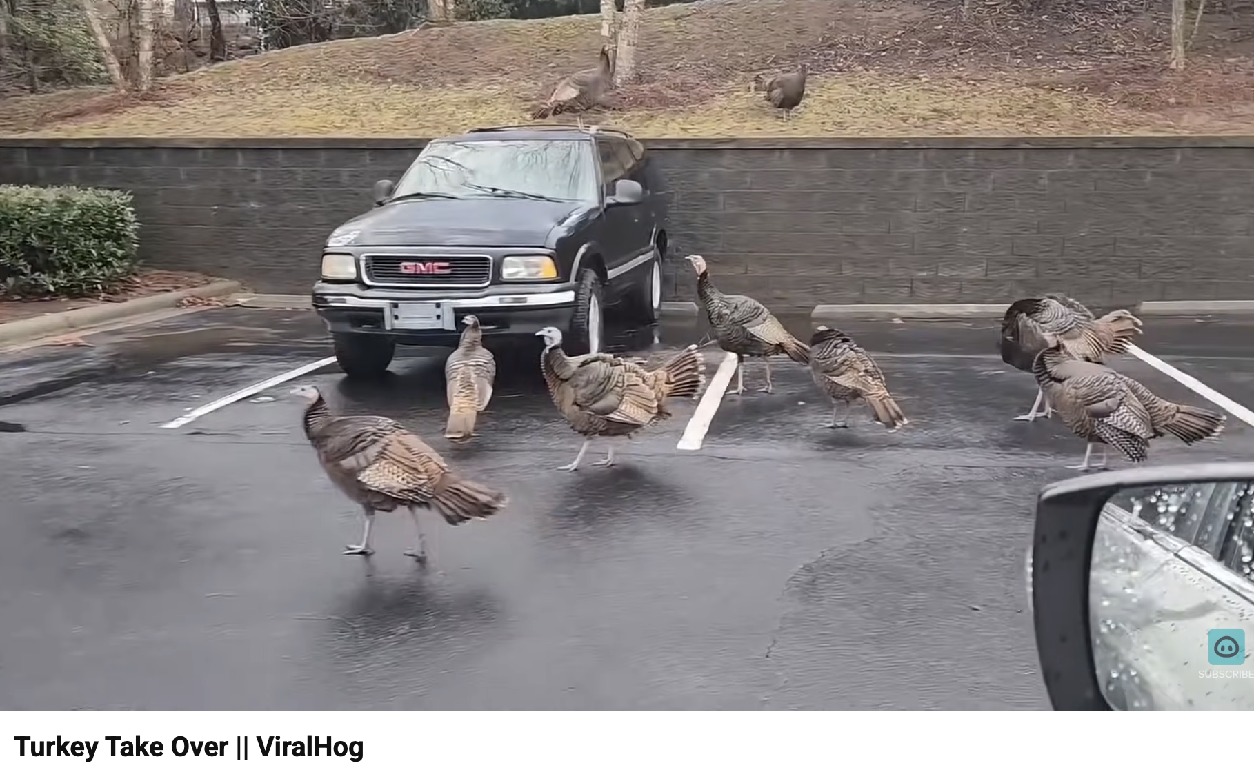 Top Features story anchor