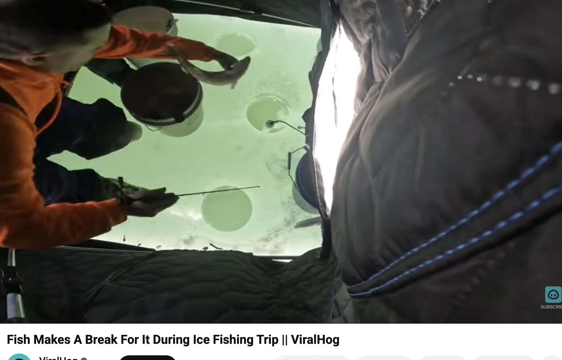 Have You Seen This? Reverse ice fishing in action