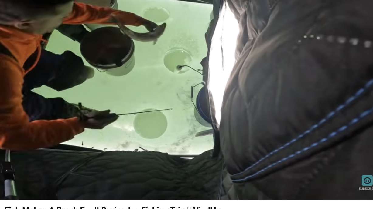 Here's a prime example of "catch and unintentionally release" fishing.