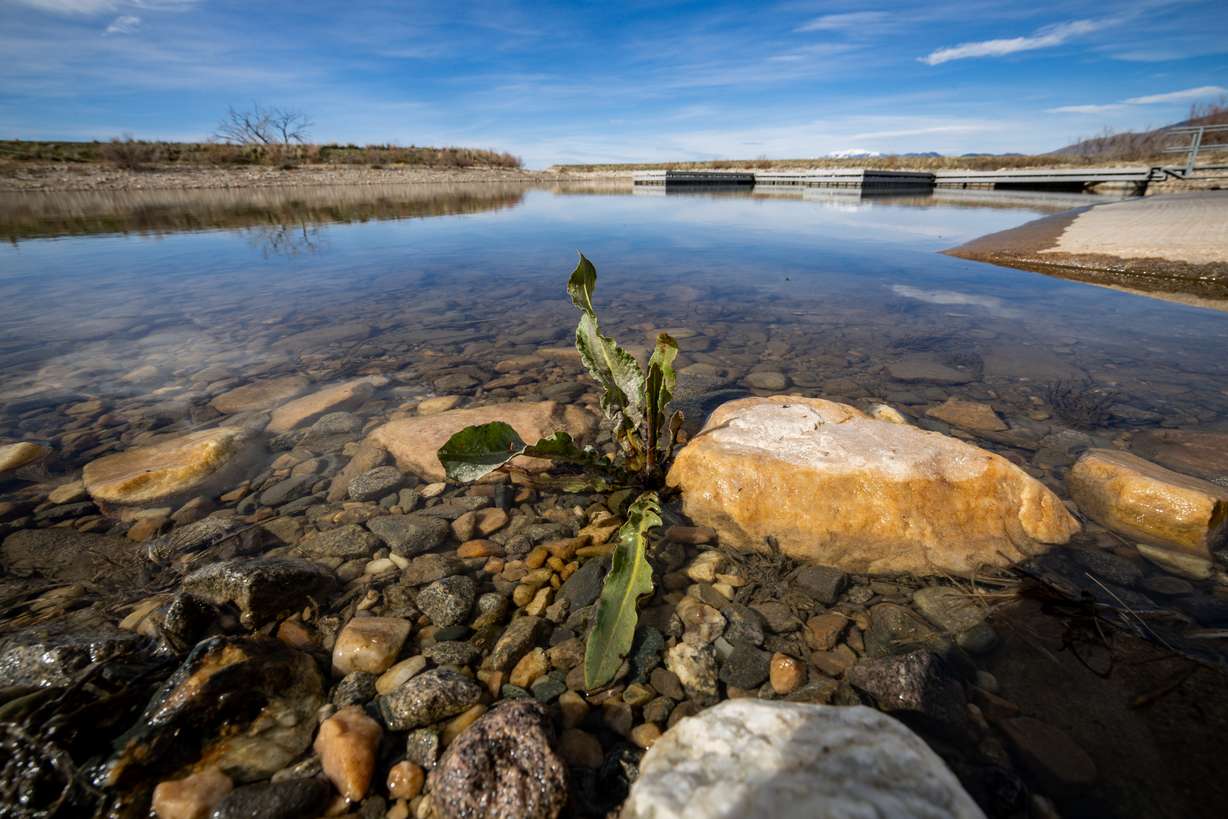 Willard Bay State Park's South Marina in Willard on Tuesday. Future years with consistent low snowpacks have water managers concerned.