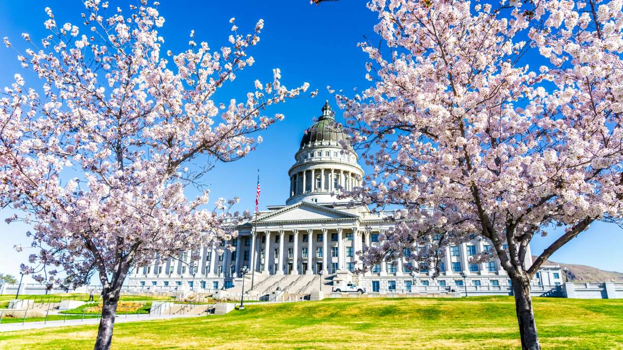 Cherry blossoms at the Utah Capitol in Salt Lake City on Friday. Gov. Spencer Cox signed an additional 74 bills on Thursday, including provisions about carrying firearms on college campuses and adding taxes for adult content online.