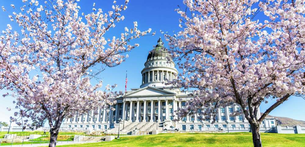 Cox signs bills on open carry for firearms, taxes for adult content online