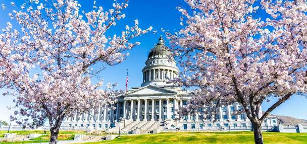 Cox signs bills on open carry for firearms, taxes for adult content online