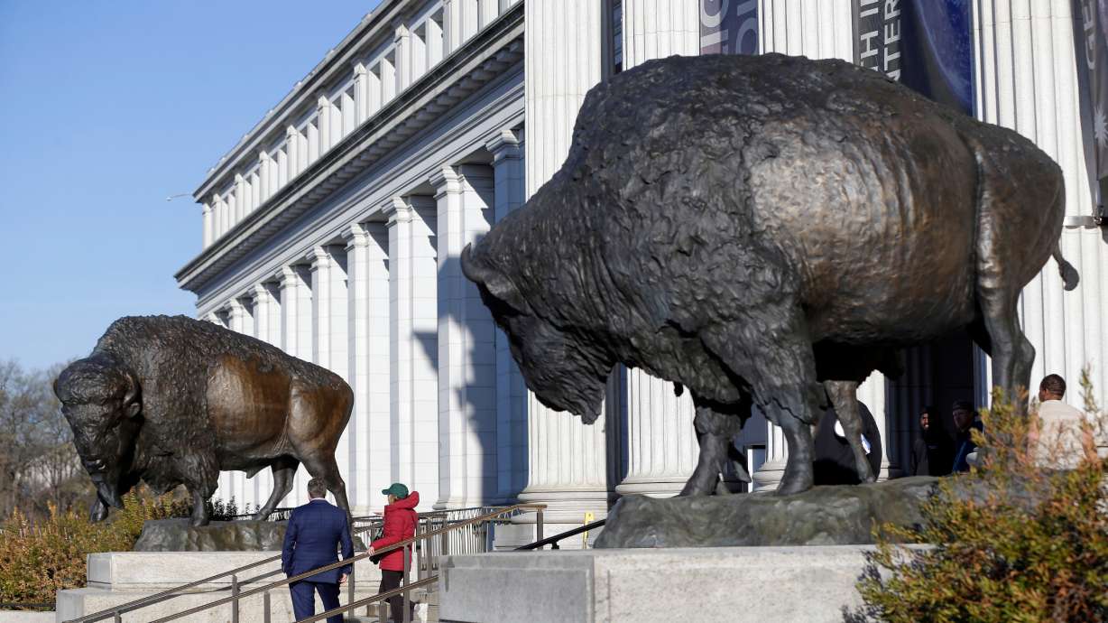 Bison statues cast in bronze are on permanent display outside the Smithsonian's National Museum of Natural History, Friday in Washington.