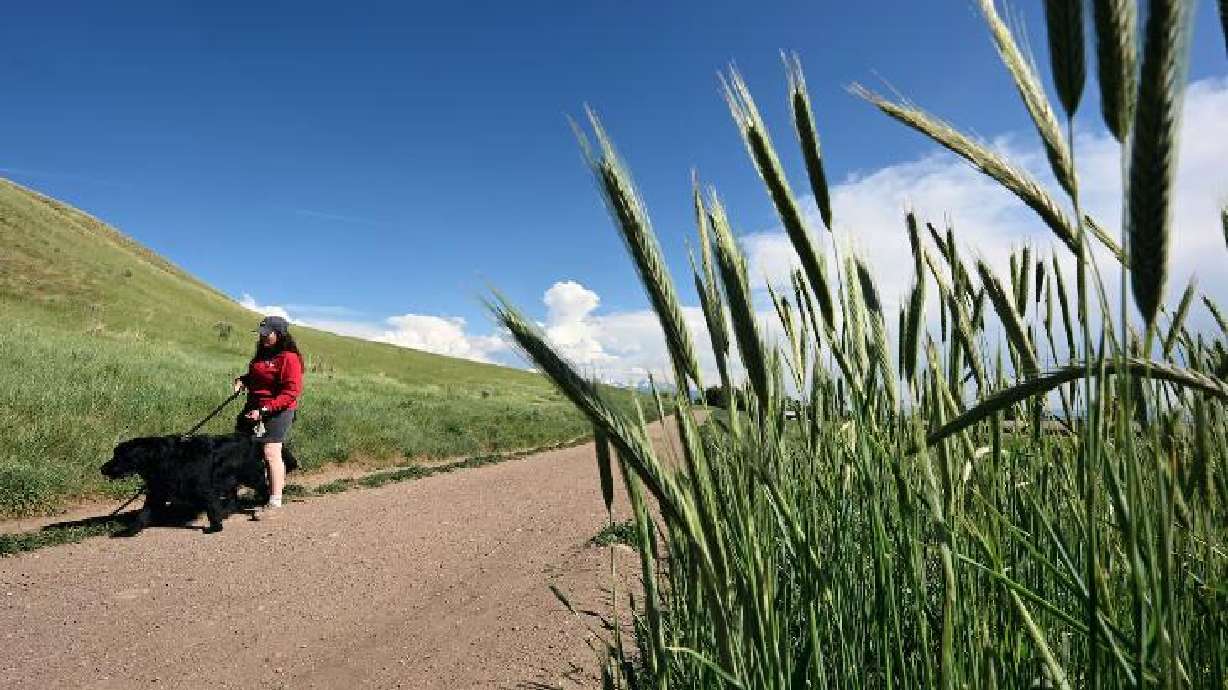 Hannah Martinez walks with her dog Finn on the Bonneville Shoreline trail above Salt Lake City on May 27, 2025. The Division of Wildlife Resources wants to make sure you keep wildlife and your pets safe.