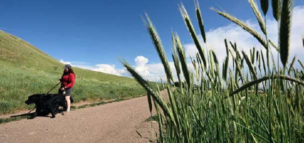 Top Features story anchor