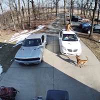 Have You Seen This? Delivery driver gets the scare of a lifetime