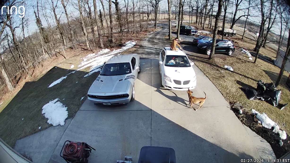 A deliveryman evades a loose dog while dropping off a package.