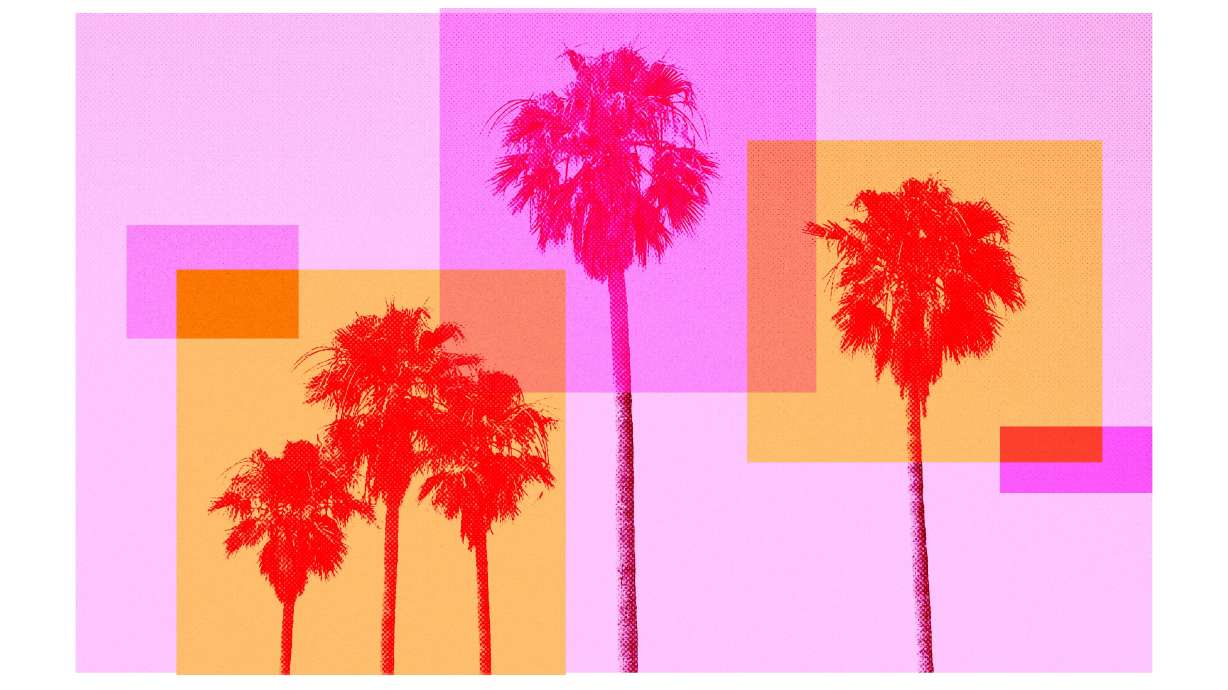 California's sporadic "superblooms" of bright orange poppies named for the state and other wildflowers served as the inspiration for what's known as the look of the 2028 Summer Games in Los Angeles.