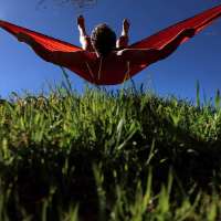 Allergy season's arriving early. Here are some survival tips