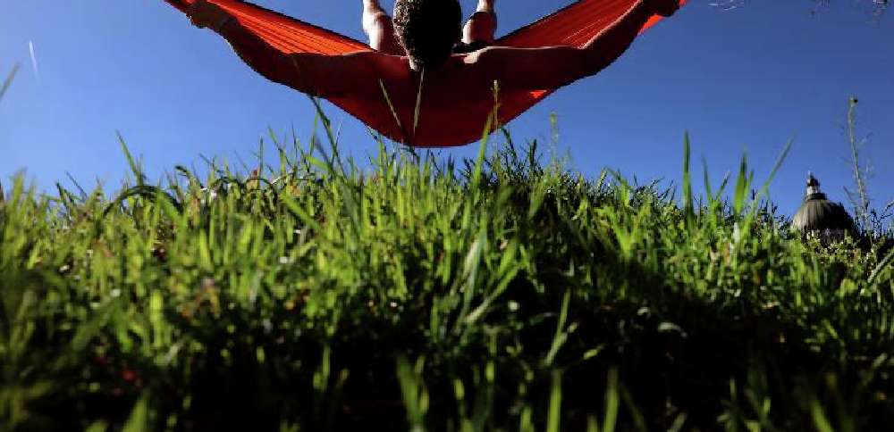 Allergy season's arriving early. Here are some survival tips