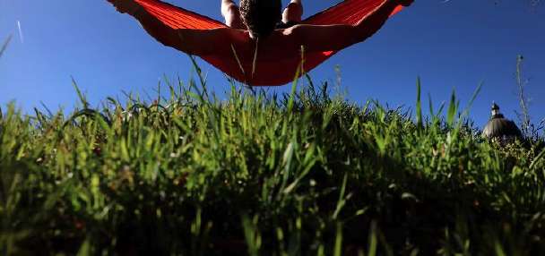 Allergy season's arriving early. Here are some survival tips